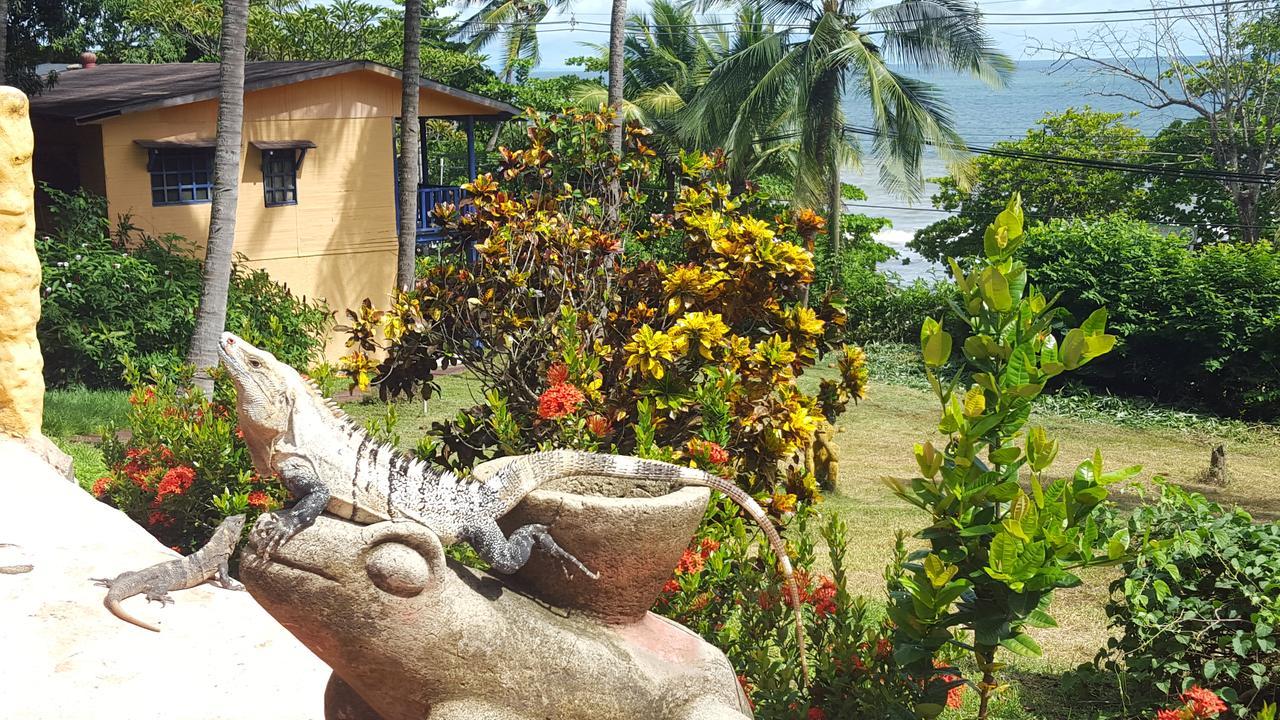 Hotel Los Mangos Montezuma Dış mekan fotoğraf