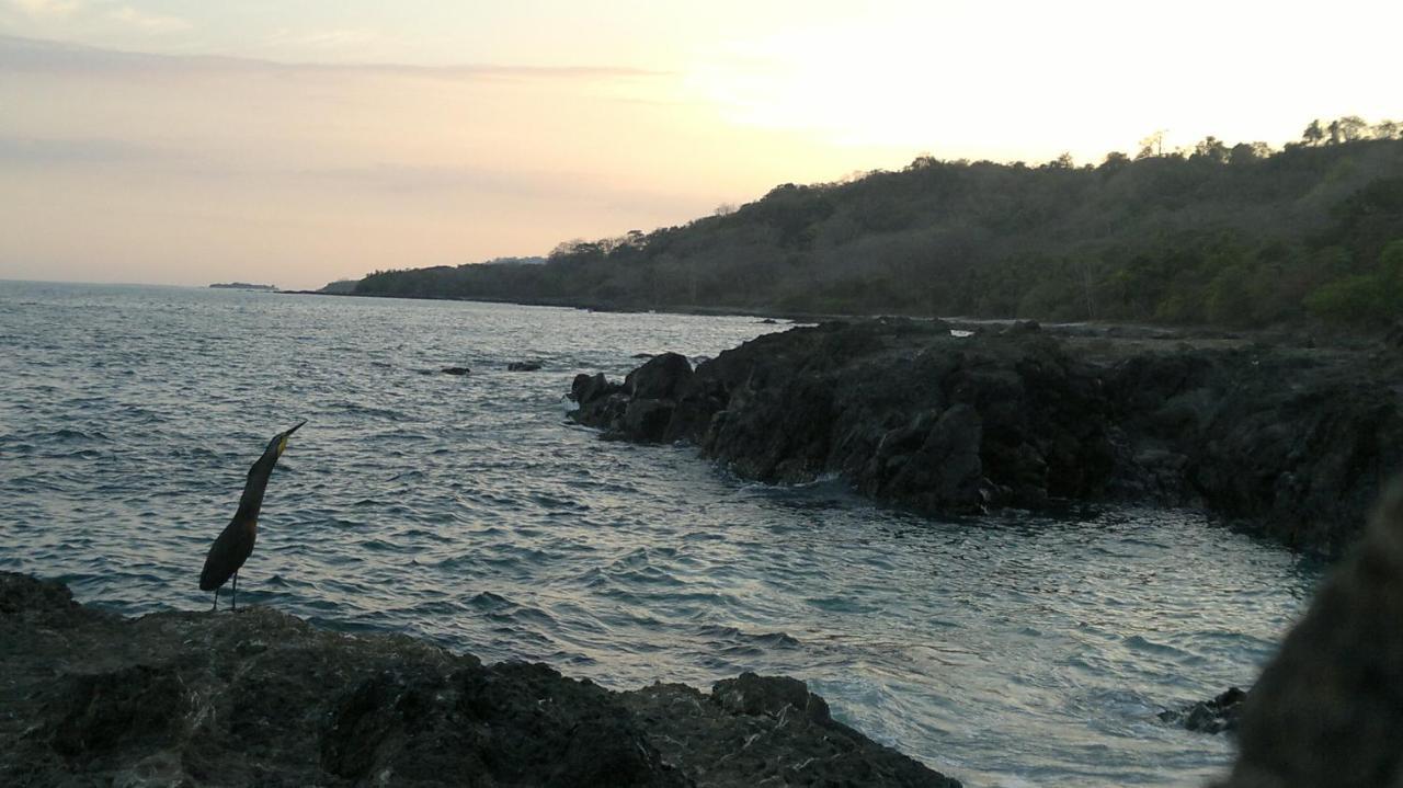 Hotel Los Mangos Montezuma Dış mekan fotoğraf